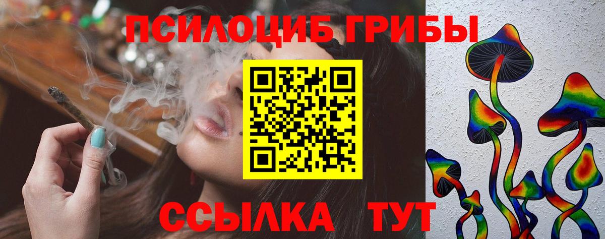 закладка  Галлюциногенные грибы GOLDEN TEACHER  Вход с VPN  Ачинск 